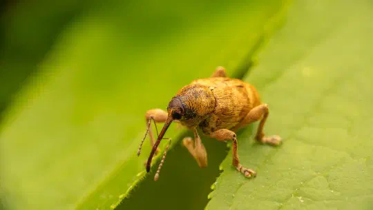Franz und seine Reise in die Welt der Menschen