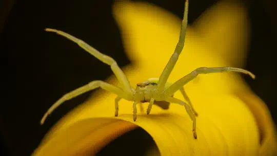 Kinderleicht erklärt — Warum kleine Wesen große Unterschiede haben