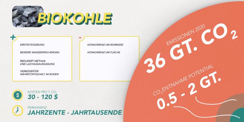 biokohle.jpg