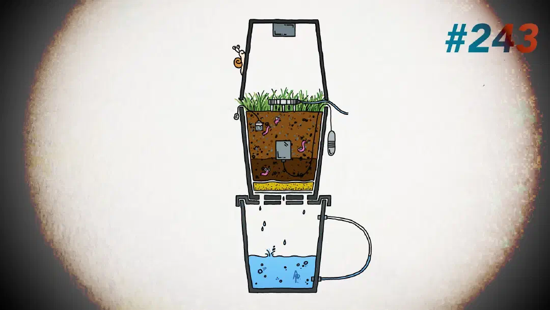 Größtes Klimaexperiment: 7000 Würmer helfen mit