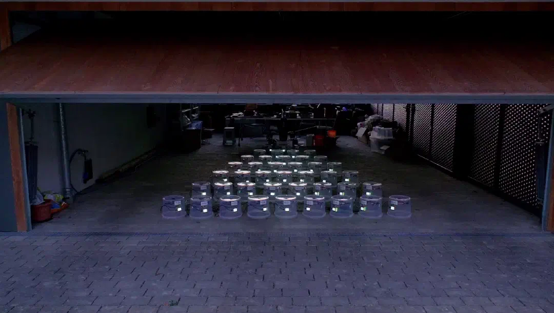 Ich und mein Bruder Dirk