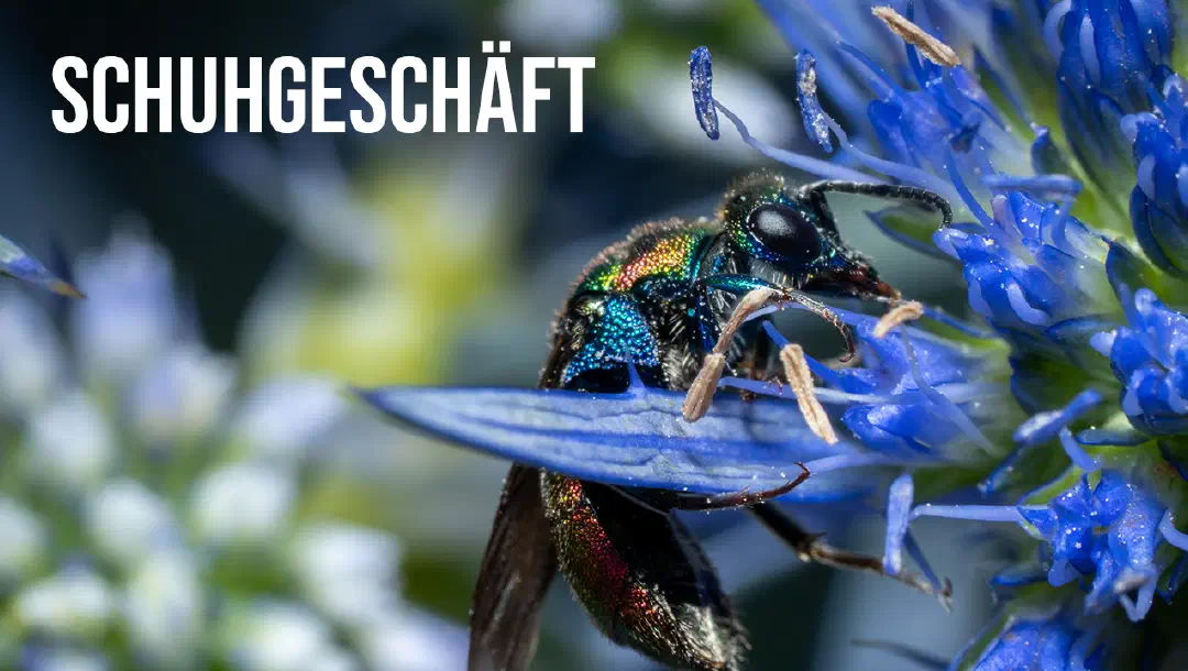 Episode 3: Schuhgeschäft