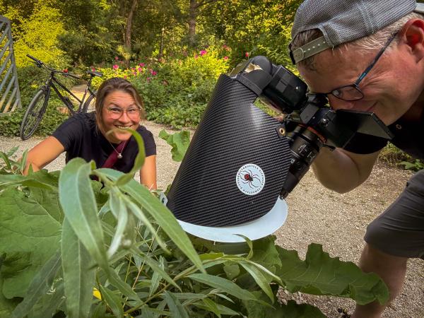 Katrin und Jörn beim Bioblitz Botanischen Gärten 2025 auf der Jagd nach der Vierfleck-Ameise