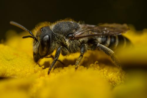 Unbekannte Details, spannende Facetten