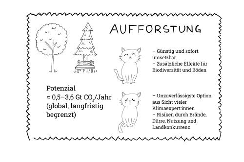 Viele Wege führen zur sauberen Luft: Aufforstung ist nicht der Favorit der CDR-Expert:innen