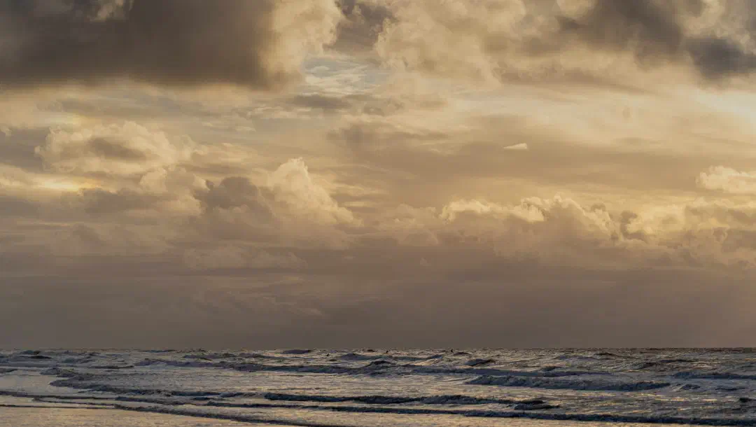 Artikel-, Video- und Podcast-Serien